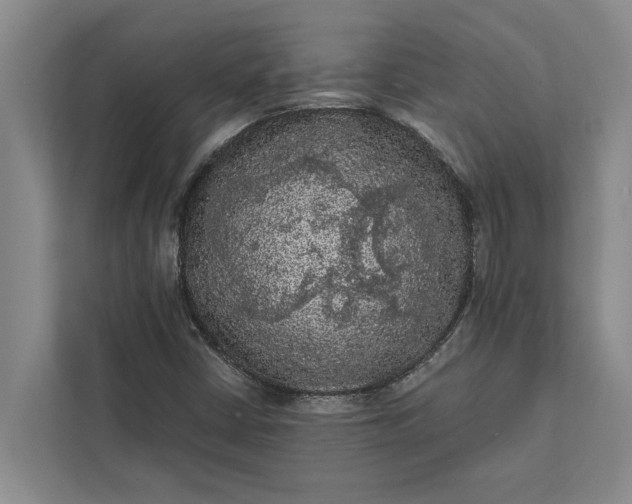 X0000112351402200908271223