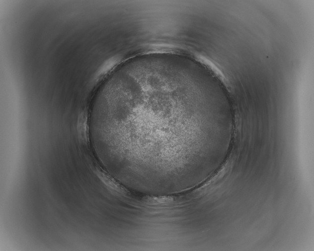 X0000112351403200908271223