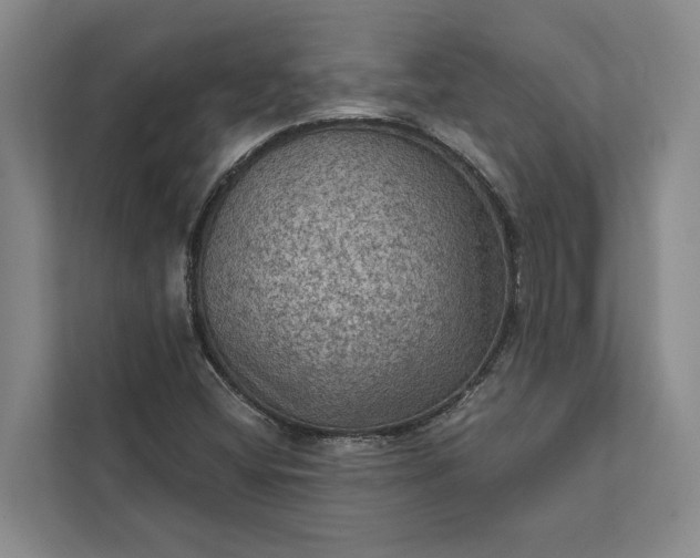 X0000112351404200908271223