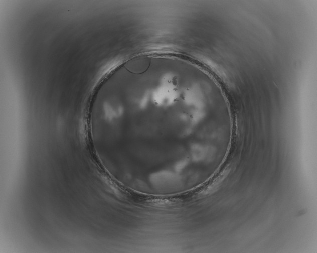 X0000112351405200908271223