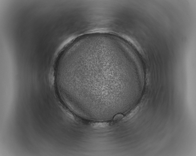 X0000112351406200908271223