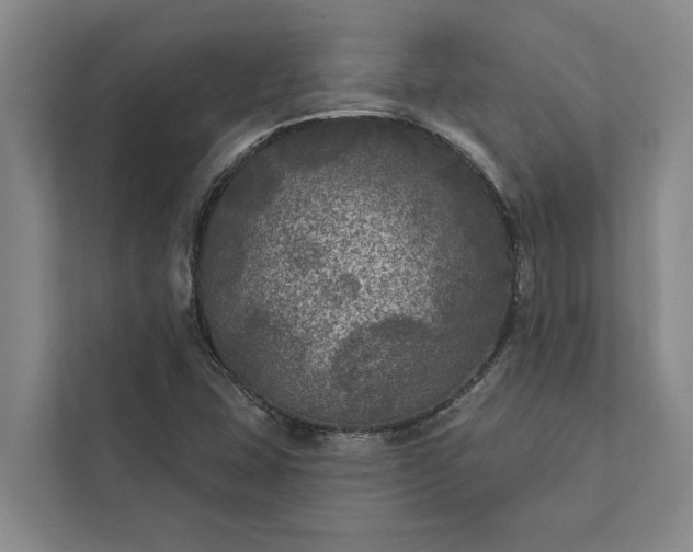 X0000112351407200908271223