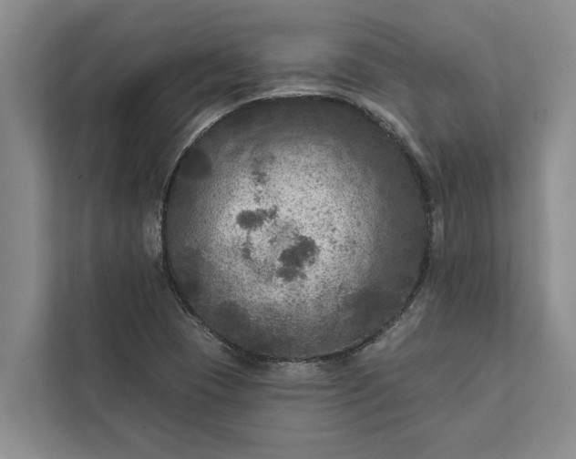 X0000112351409200908271224