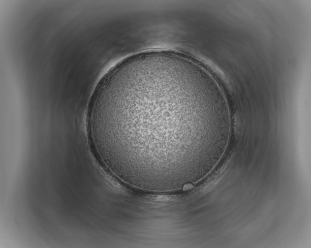X0000112351412200908271224