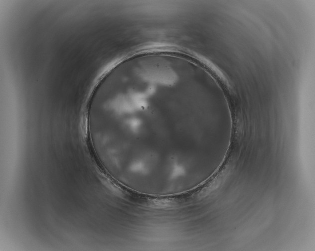 X0000112351413200908271224