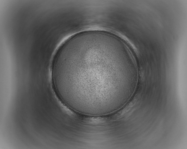 X0000112351416200908271224