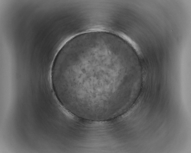 X0000112351423200908271224