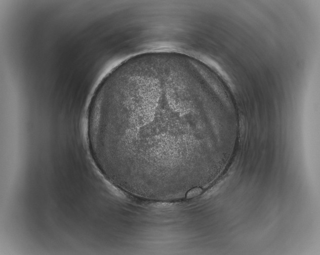 X0000112351424200908271224