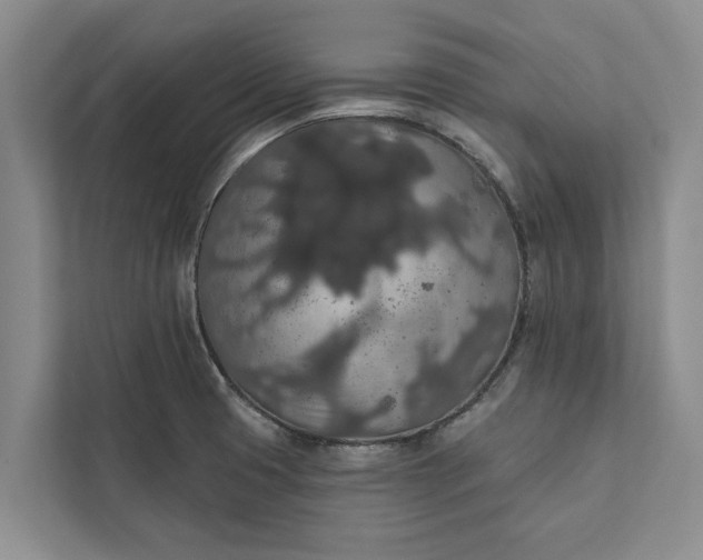 X0000112351425200908271224