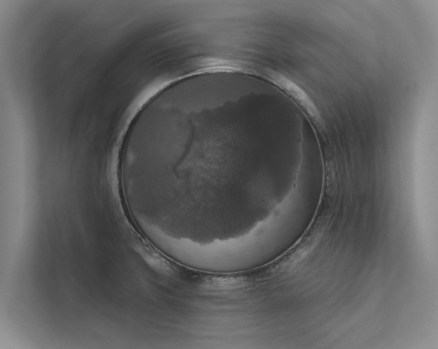 X0000112351427200908271224