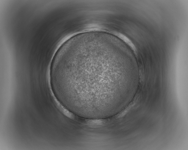X0000112351431200908271224