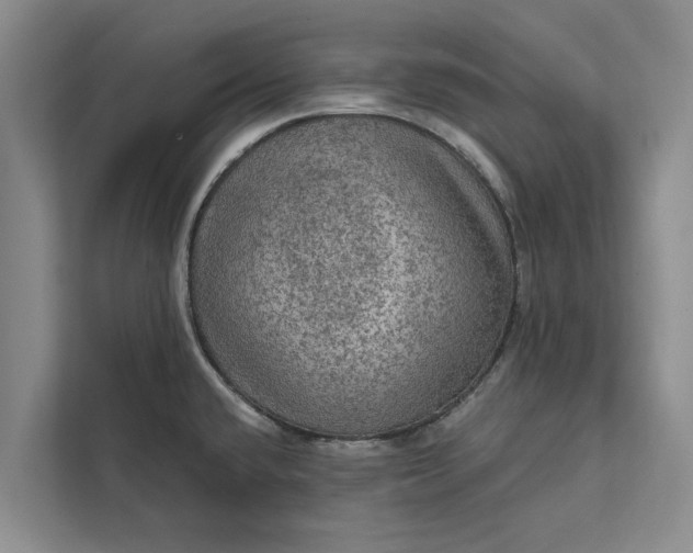 X0000112351432200908271224