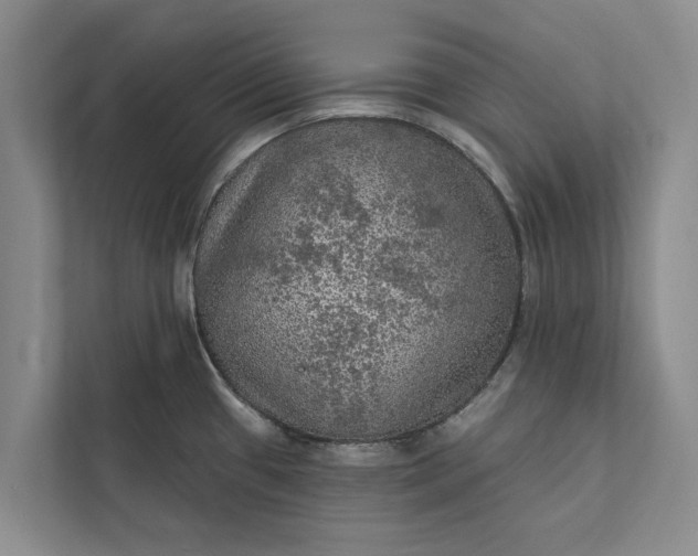 X0000112351433200908271224