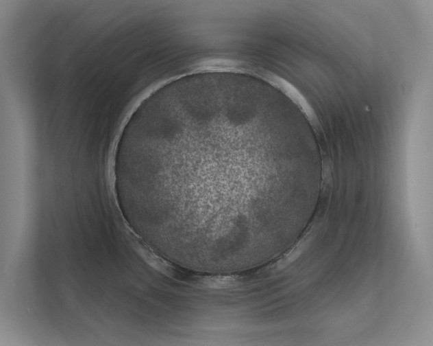 X0000112351435200908271224