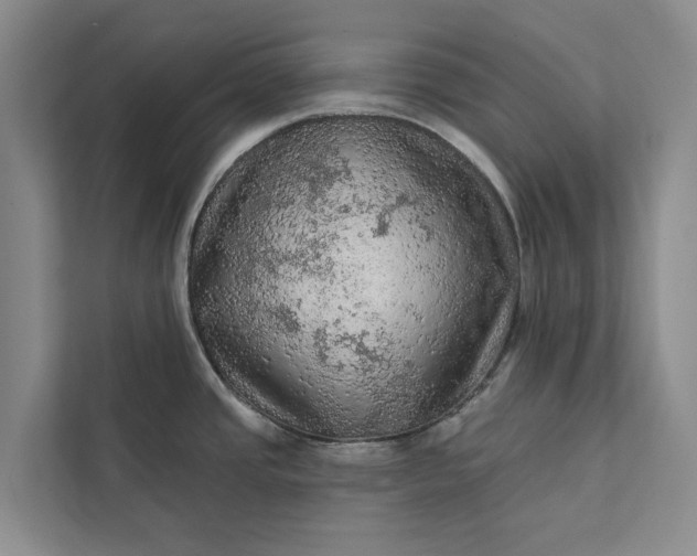 X0000112351437200908271224