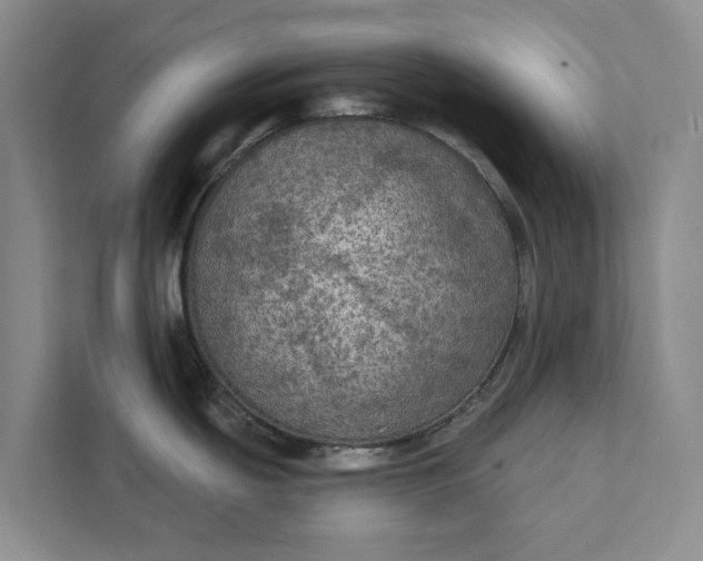 X0000112351439200908271224