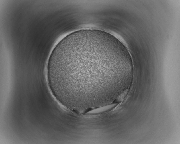 X0000112351440200908271224