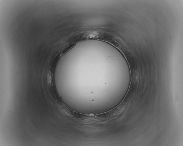 X0000112351442200908271223
