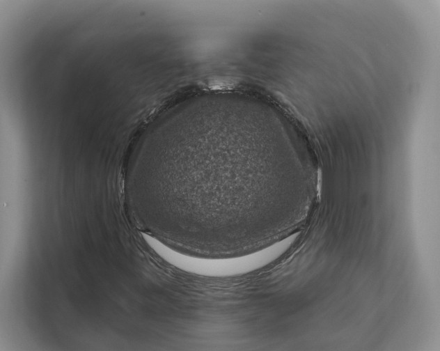 X0000112351443200908271223