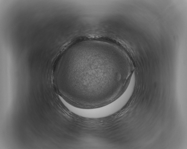 X0000112351444200908271223