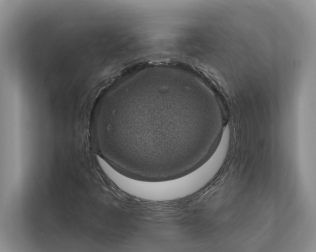 X0000112351445200908271223