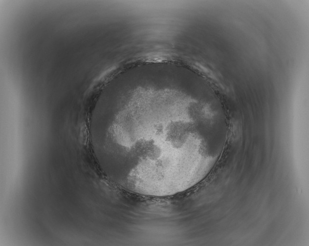 X0000112351446200908271223