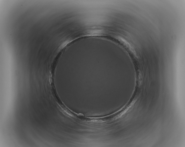 X0000112351449200908271223