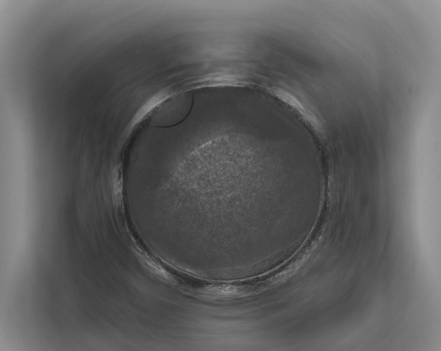 X0000112351450200908271223