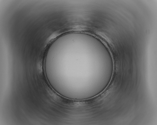 X0000112351451200908271223