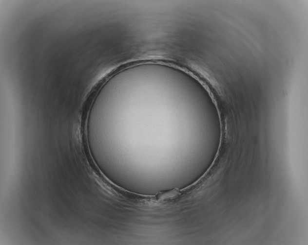 X0000112351452200908271223