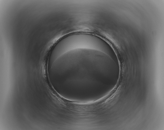 X0000112351455200908271223