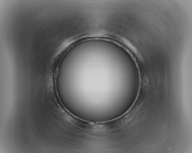 X0000112351456200908271223