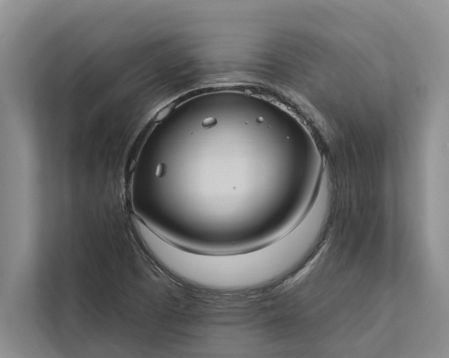 X0000112351457200908271223