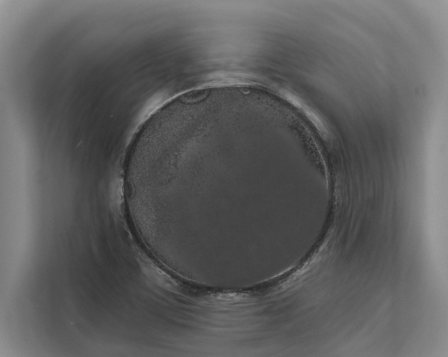 X0000112351459200908271223