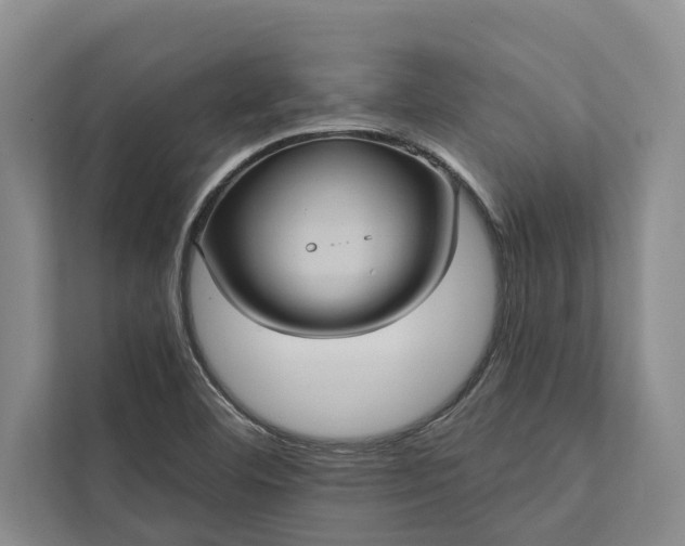 X0000112351460200908271223