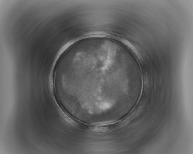 X0000112351466200908271223