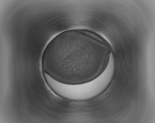 X0000112351468200908271223