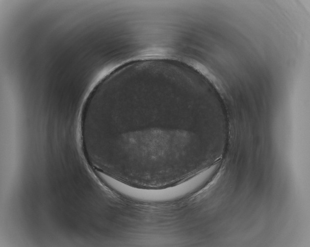X0000112351469200908271223