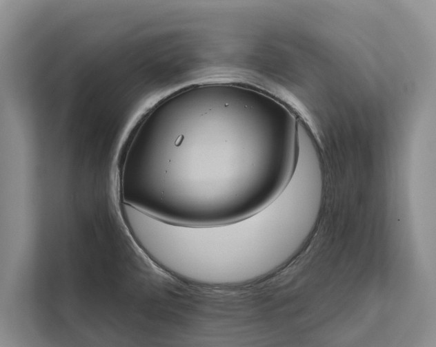 X0000112351472200908271223