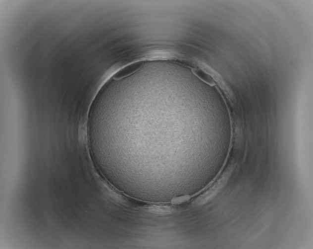 X0000112351473200908271223