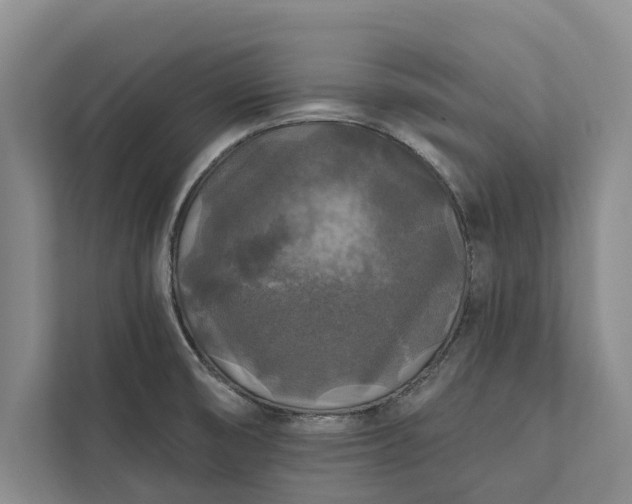 X0000112351474200908271223