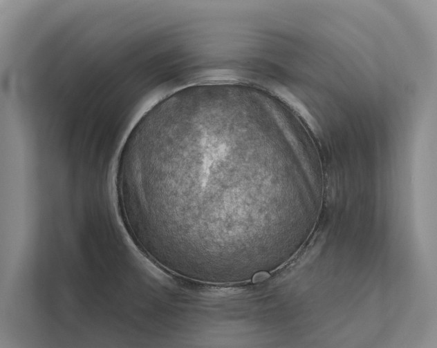 X0000112351475200908271223