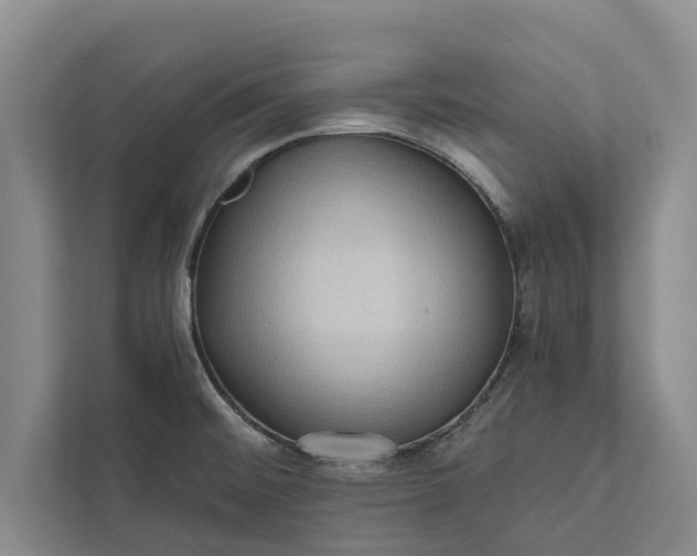 X0000112351476200908271223