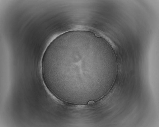 X0000112351479200908271223