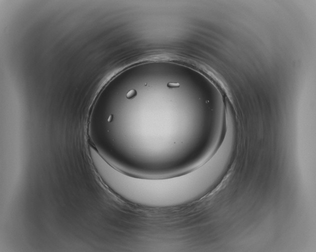 X0000112351481200908271223