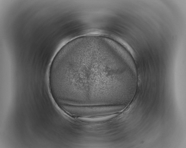 X0000112351483200908271223