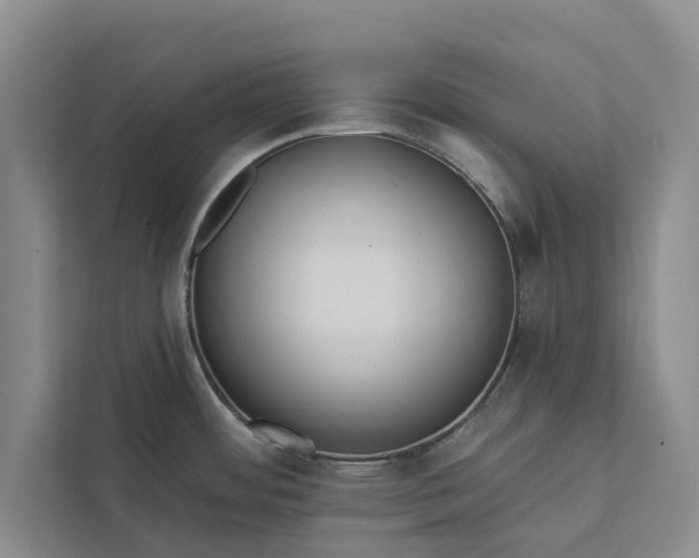X0000112351484200908271223