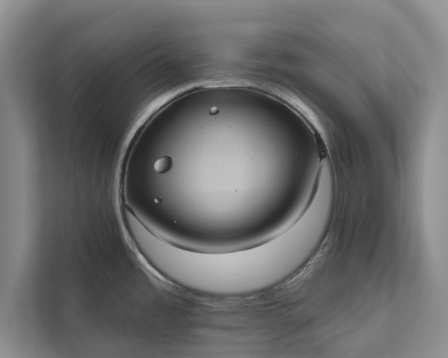 X0000112351485200908271223