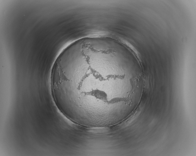 X0000112351487200908271223