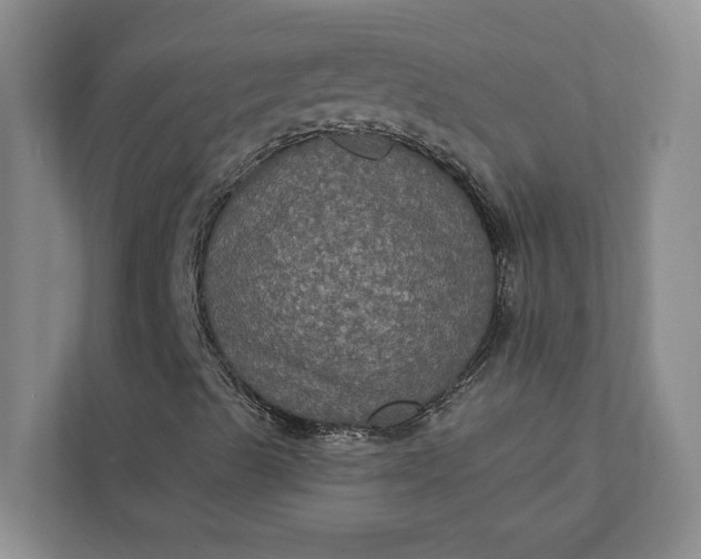 X0000112351489200908271222